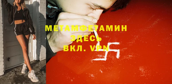 шишки Белокуриха