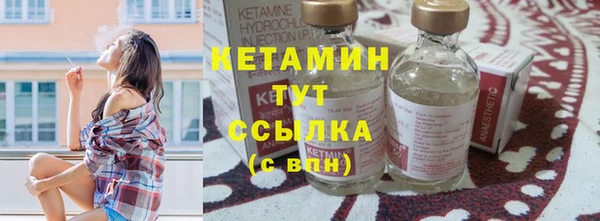 шишки Белокуриха
