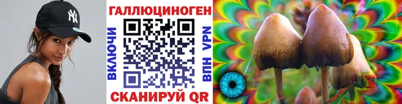 МЕГА онион Щигры Галлюциногенные грибы Psilocybine cubensis